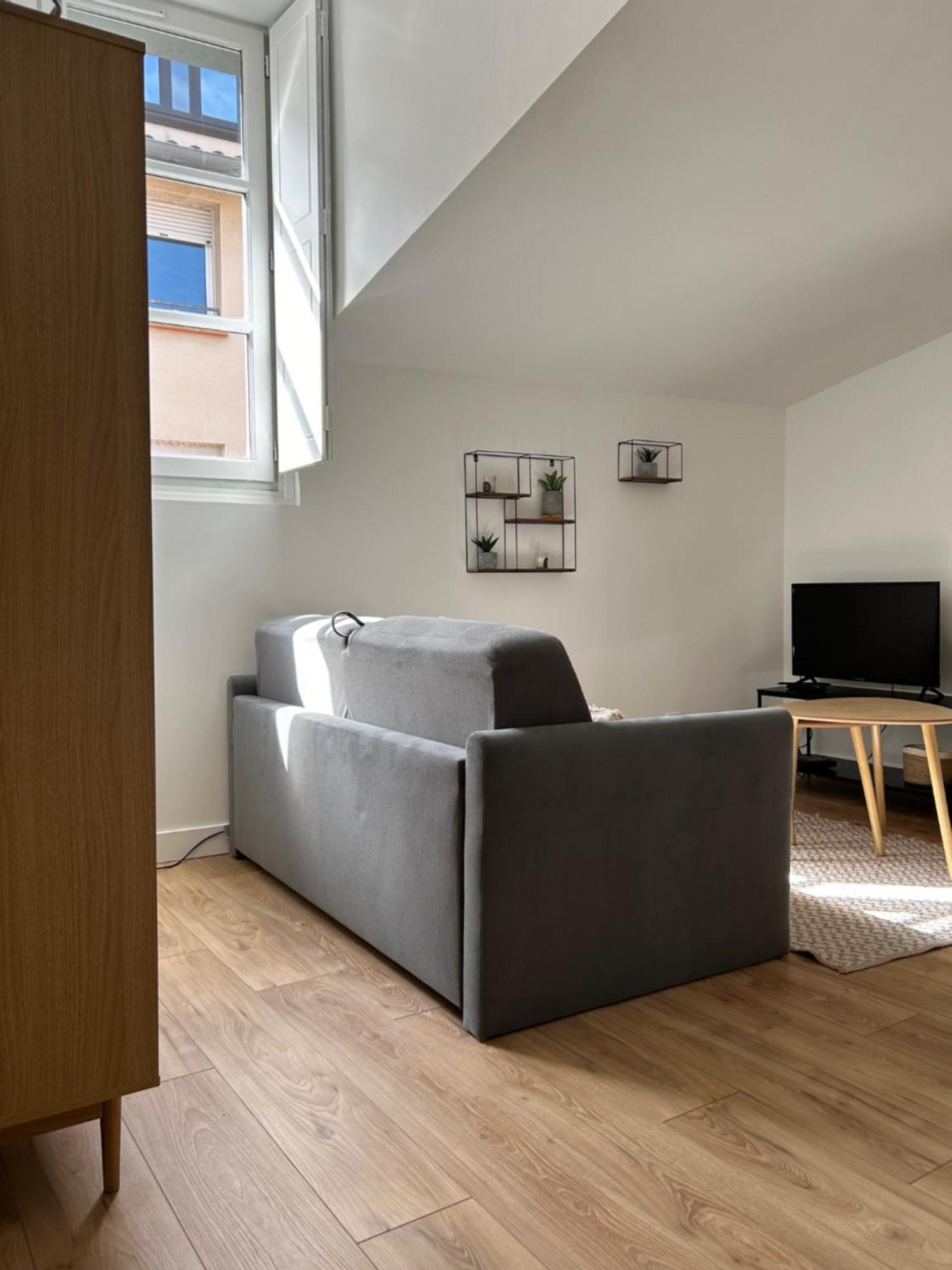 L'Embarcadere Toulousain - T1 - Gare - Centre Ville Toulouse Ngoại thất bức ảnh