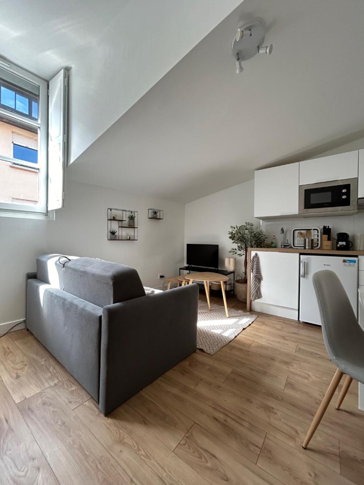 L'Embarcadere Toulousain - T1 - Gare - Centre Ville Toulouse Ngoại thất bức ảnh